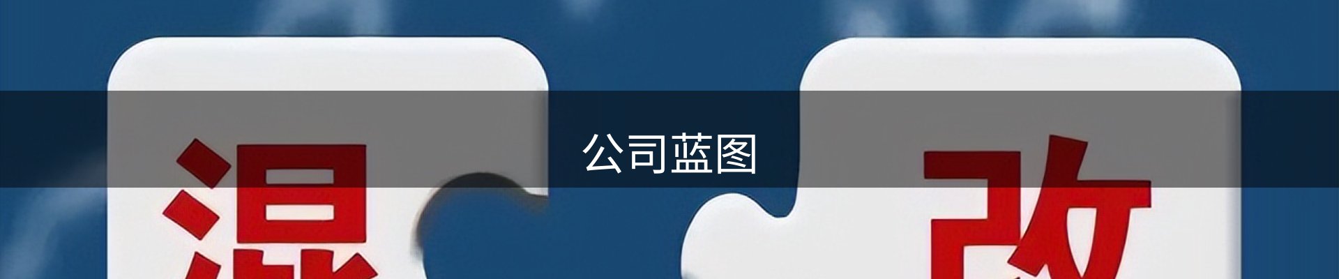 公司蓝图